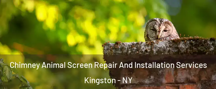  Chimney Animal Screen Repair And Installation Services Kingston - NY
