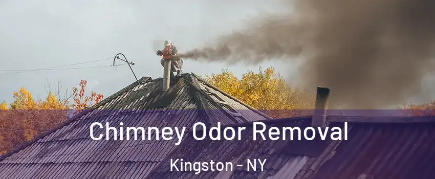  Chimney Odor Removal Kingston - NY