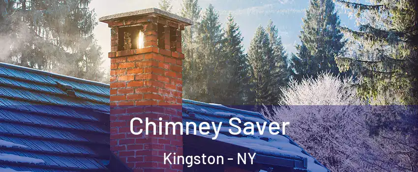  Chimney Saver Kingston - NY