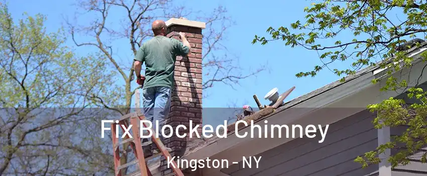  Fix Blocked Chimney Kingston - NY
