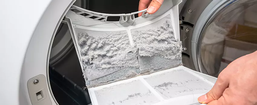 Best Dryer Lint Removal Company in Kingston, New York