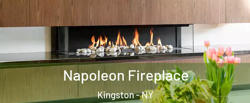  Napoleon Fireplace Kingston - NY